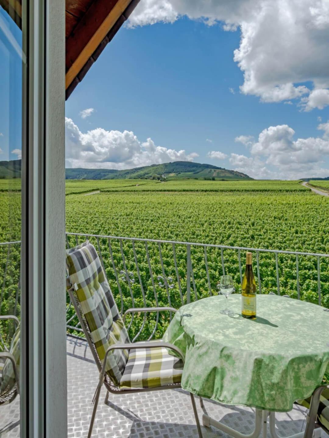 Ferienweingut Winnebeck Kowerich Exterior photo
